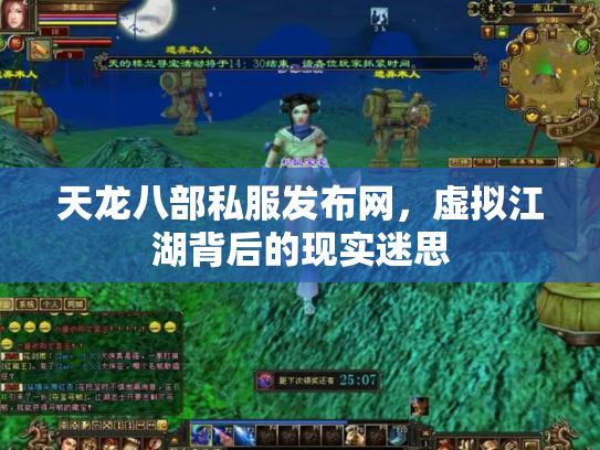 天龙八部私服发布网，虚拟江湖背后的现实迷思