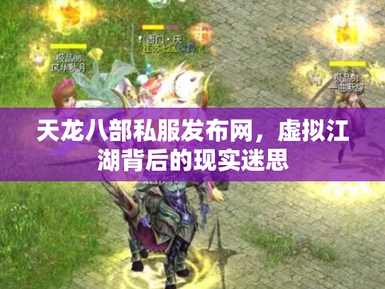 天龙八部私服发布网，虚拟江湖背后的现实迷思