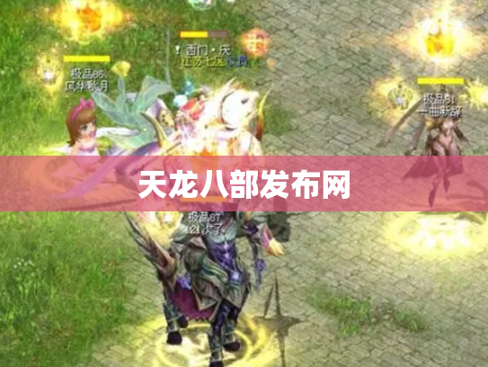 天龙八部发布网