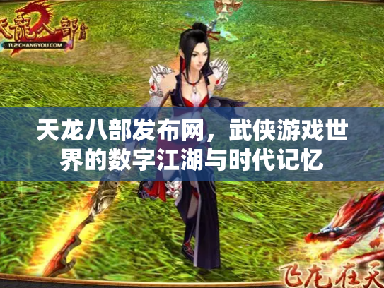 天龙八部发布网，武侠游戏世界的数字江湖与时代记忆