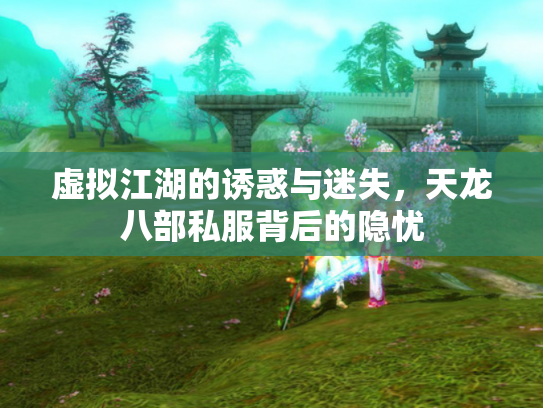 虚拟江湖的诱惑与迷失，天龙八部私服背后的隐忧