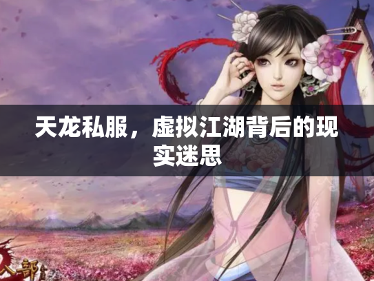 天龙私服，虚拟江湖背后的现实迷思
