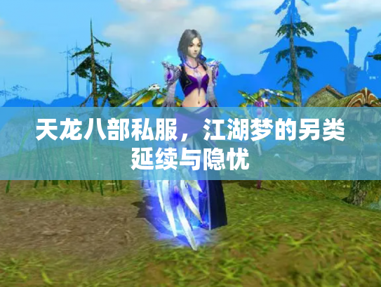 天龙八部私服，江湖梦的另类延续与隐忧