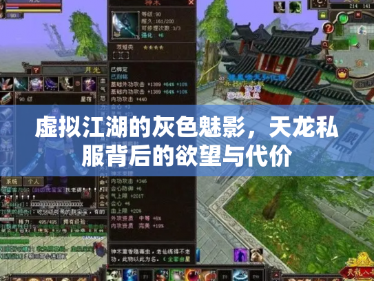 虚拟江湖的灰色魅影，天龙私服背后的欲望与代价