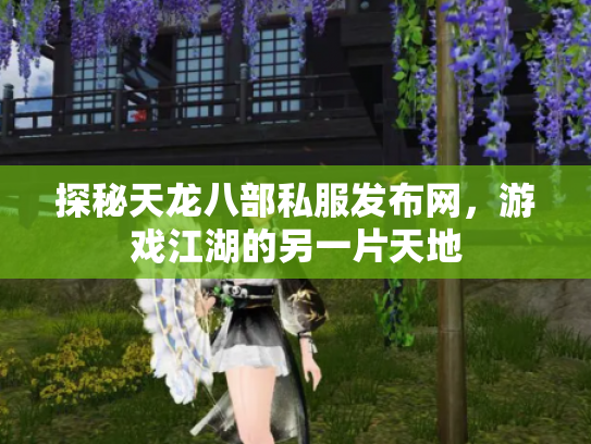 探秘天龙八部私服发布网，游戏江湖的另一片天地