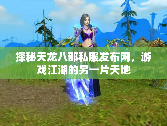 探秘天龙八部私服发布网，游戏江湖的另一片天地
