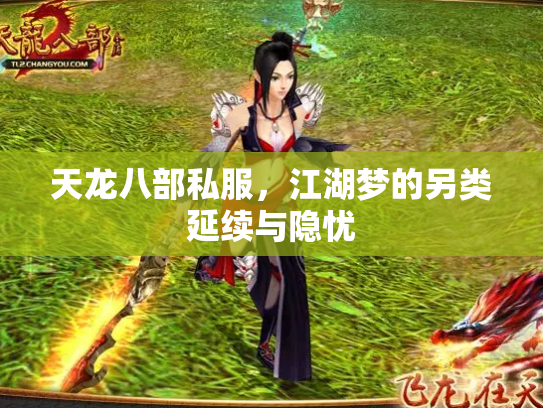 天龙八部私服，江湖梦的另类延续与隐忧