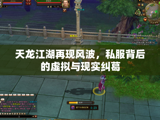 天龙江湖再现风波，私服背后的虚拟与现实纠葛