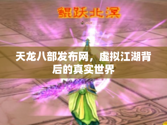 天龙八部发布网，虚拟江湖背后的真实世界