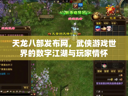 天龙八部发布网，武侠游戏世界的数字江湖与玩家情怀