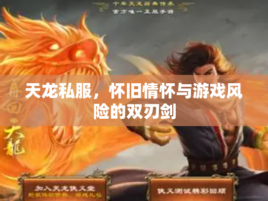 天龙私服，怀旧情怀与游戏风险的双刃剑