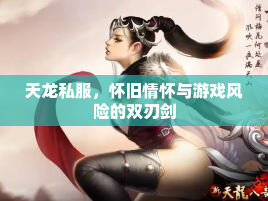 天龙私服，怀旧情怀与游戏风险的双刃剑