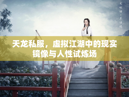 天龙私服，虚拟江湖中的现实镜像与人性试炼场