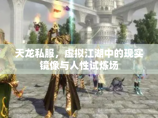 天龙私服，虚拟江湖中的现实镜像与人性试炼场
