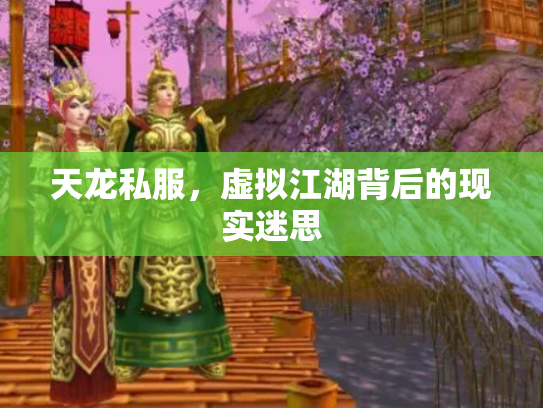 天龙私服，虚拟江湖背后的现实迷思