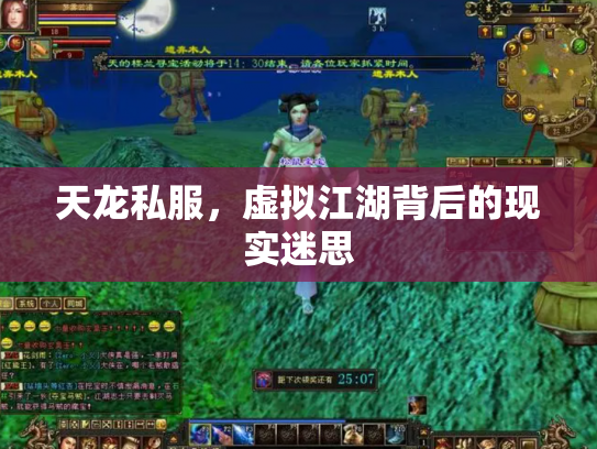 天龙私服，虚拟江湖背后的现实迷思