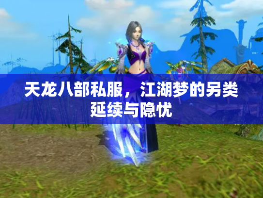 天龙八部私服，江湖梦的另类延续与隐忧