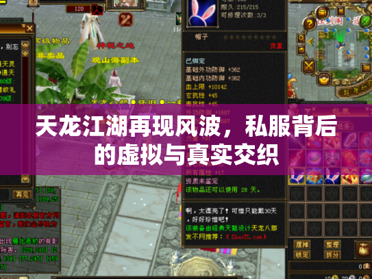 天龙江湖再现风波，私服背后的虚拟与真实交织