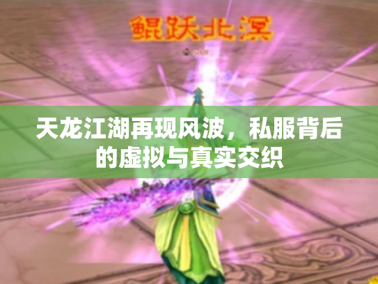 天龙江湖再现风波，私服背后的虚拟与真实交织
