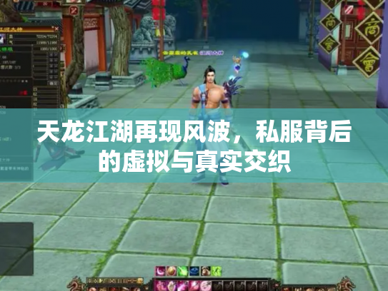 天龙江湖再现风波，私服背后的虚拟与真实交织