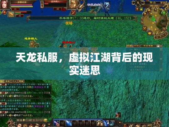 天龙私服，虚拟江湖背后的现实迷思