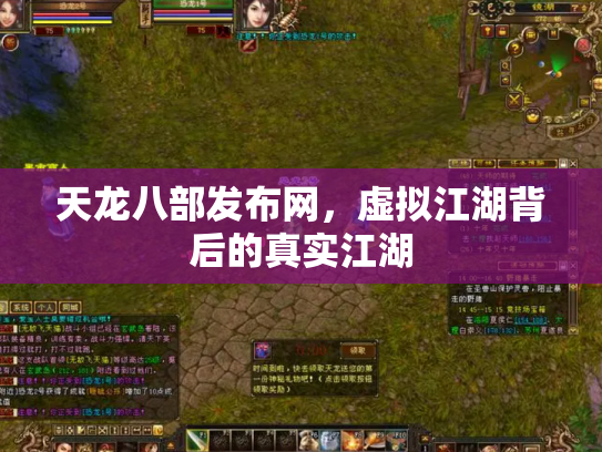 天龙八部发布网，虚拟江湖背后的真实江湖