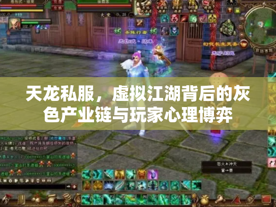 天龙私服，虚拟江湖背后的灰色产业链与玩家心理博弈