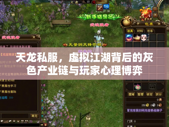 天龙私服，虚拟江湖背后的灰色产业链与玩家心理博弈