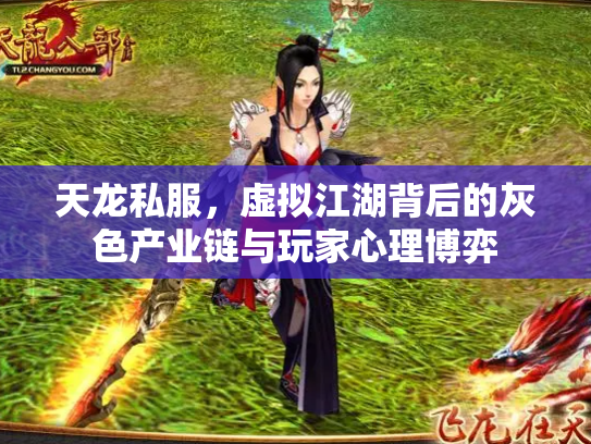 天龙私服，虚拟江湖背后的灰色产业链与玩家心理博弈