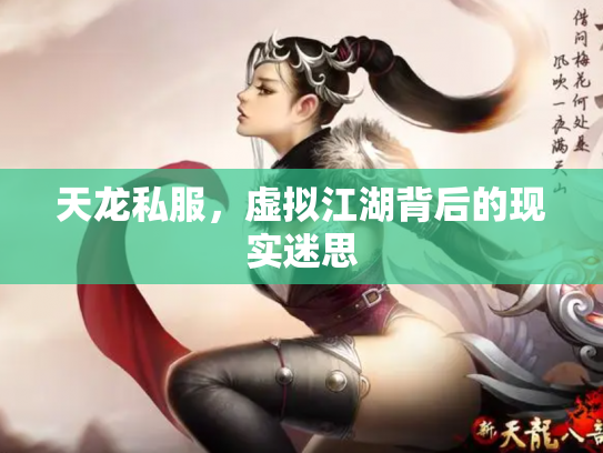 天龙私服，虚拟江湖背后的现实迷思