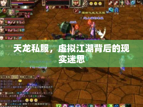 天龙私服，虚拟江湖背后的现实迷思