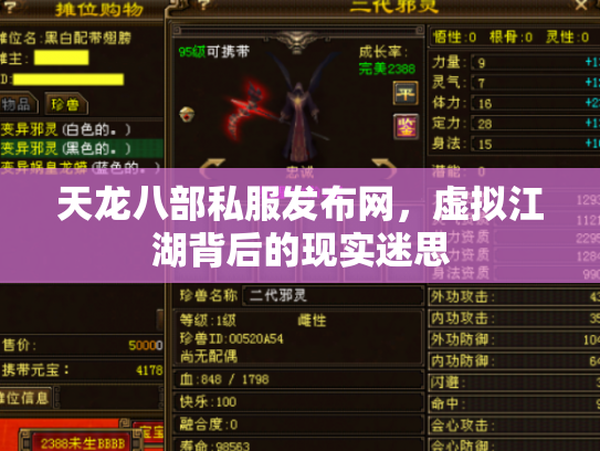天龙八部私服发布网，虚拟江湖背后的现实迷思
