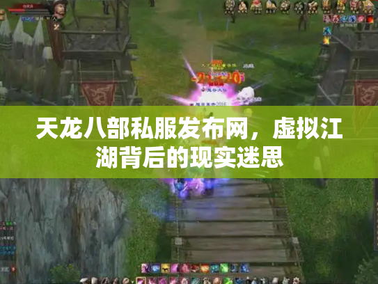 天龙八部私服发布网，虚拟江湖背后的现实迷思