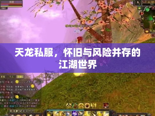 天龙私服，怀旧与风险并存的江湖世界