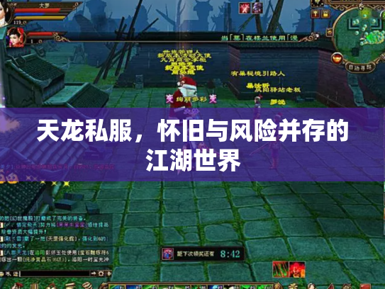天龙私服，怀旧与风险并存的江湖世界