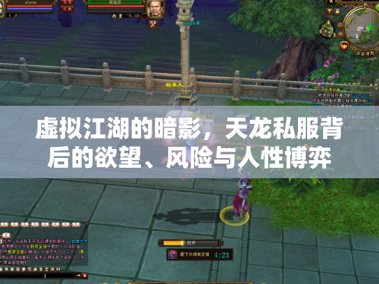 虚拟江湖的暗影，天龙私服背后的欲望、风险与人性博弈