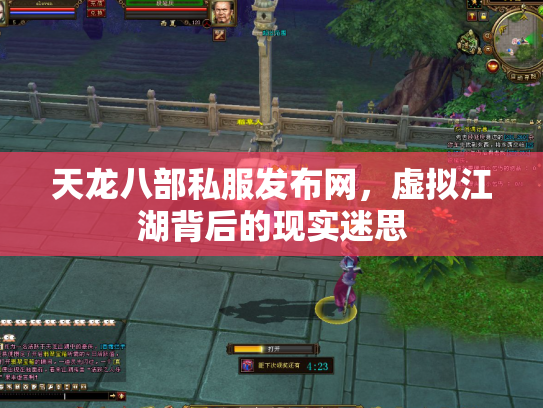 天龙八部私服发布网，虚拟江湖背后的现实迷思
