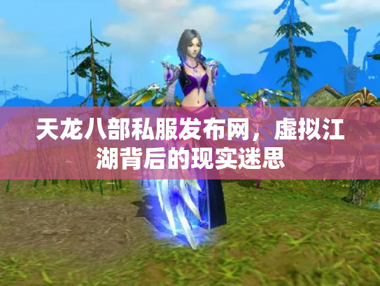 天龙八部私服发布网，虚拟江湖背后的现实迷思