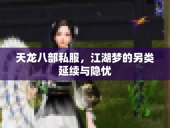 天龙八部私服，江湖梦的另类延续与隐忧