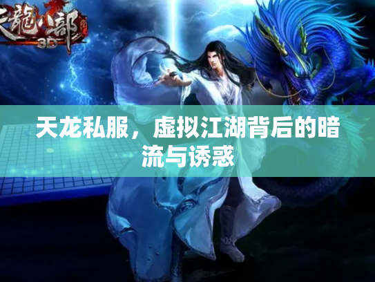 天龙私服，虚拟江湖背后的暗流与诱惑