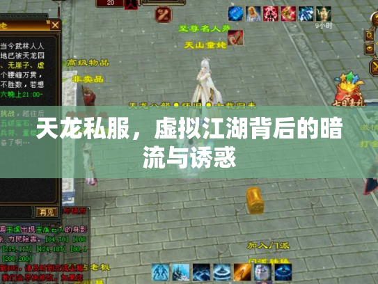 天龙私服，虚拟江湖背后的暗流与诱惑