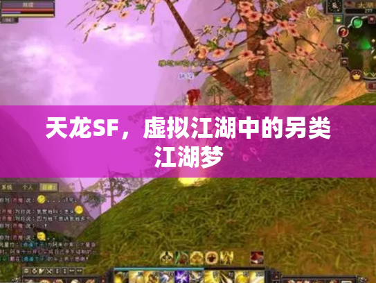 天龙SF，虚拟江湖中的另类江湖梦