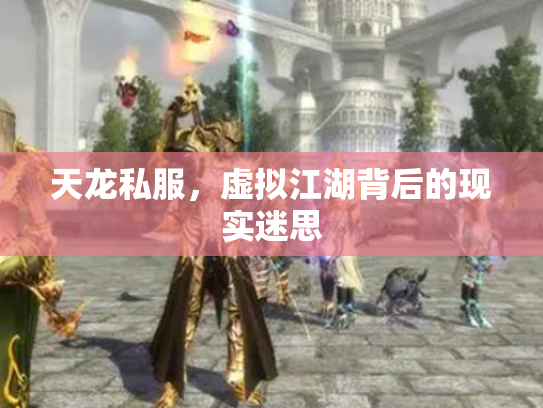 天龙私服，虚拟江湖背后的现实迷思
