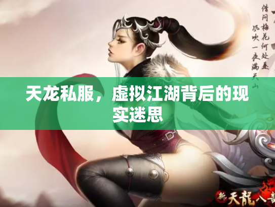 天龙私服，虚拟江湖背后的现实迷思