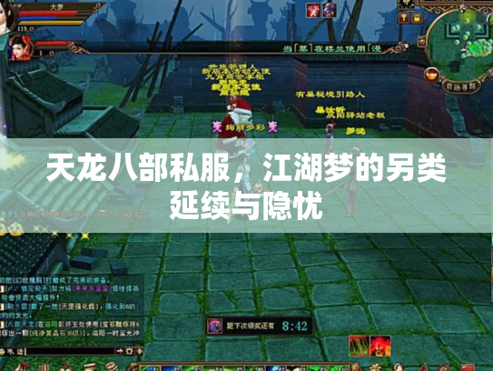 天龙八部私服，江湖梦的另类延续与隐忧