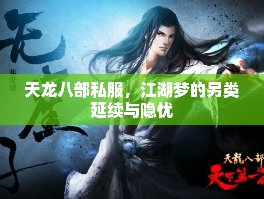 天龙八部私服，江湖梦的另类延续与隐忧
