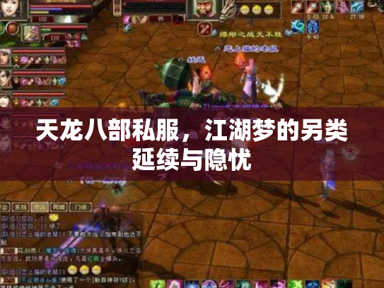 天龙八部私服，江湖梦的另类延续与隐忧