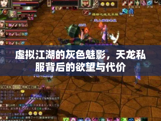 虚拟江湖的灰色魅影，天龙私服背后的欲望与代价