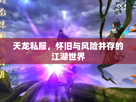 天龙私服，怀旧与风险并存的江湖世界