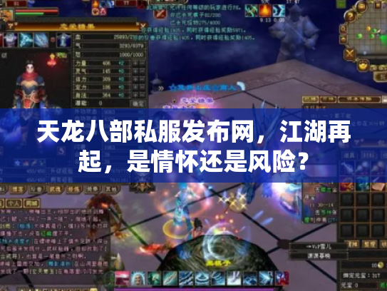 天龙八部私服发布网，江湖再起，是情怀还是风险？